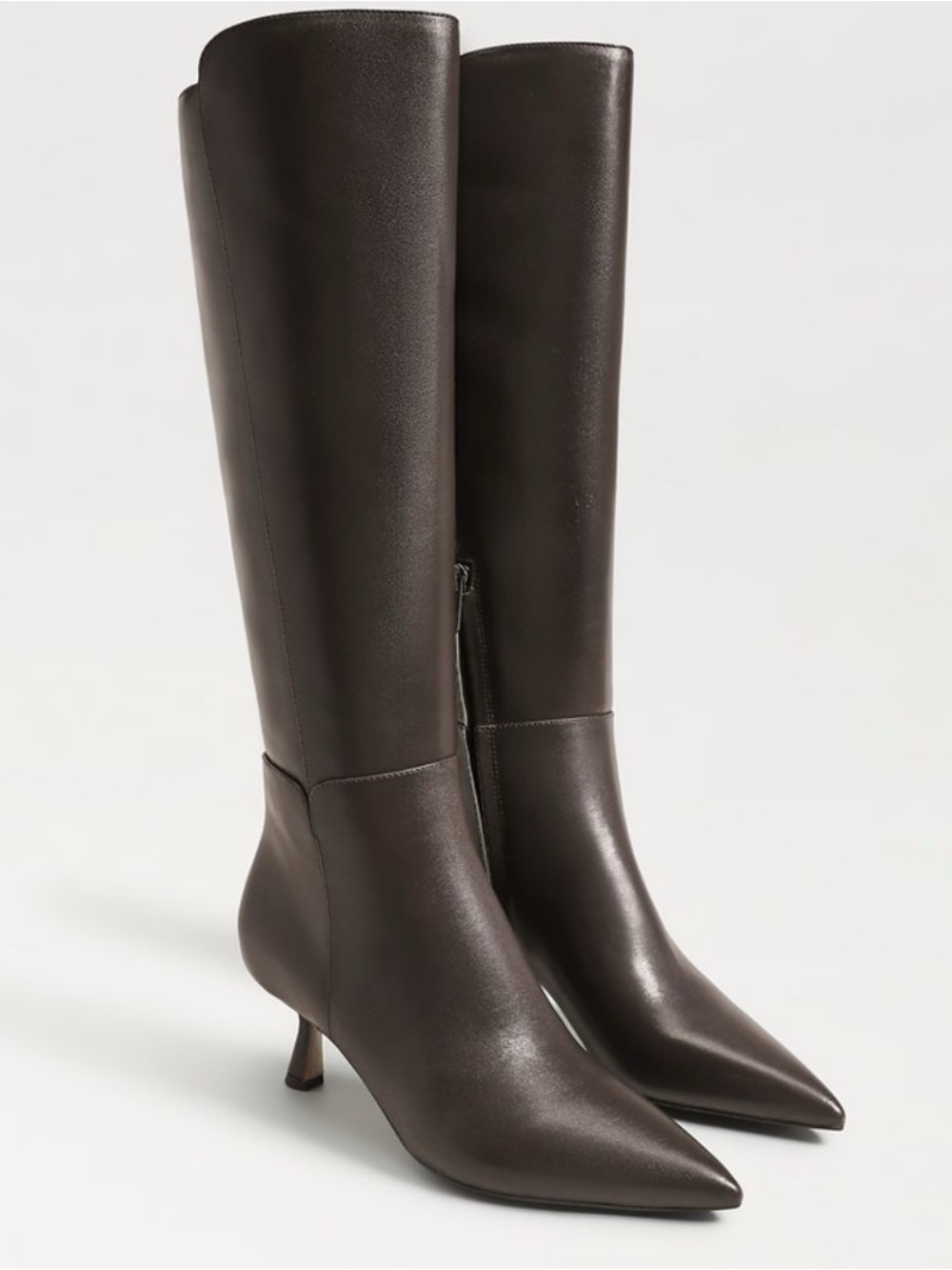 Women's Tall Pointed-Toe Leather Boots - Dark Brown
